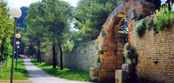 Visite guidate